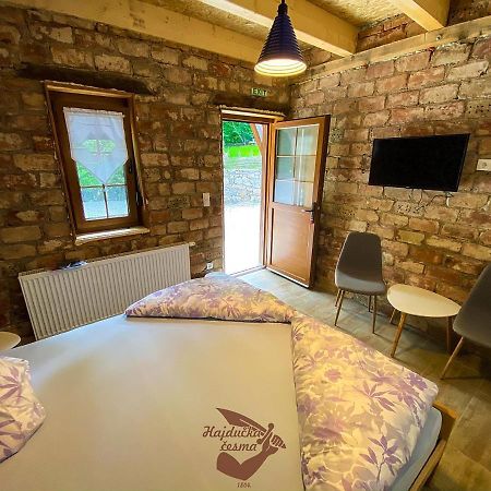 Holiday Park Hajducka Cesma Dubovsko 外观 照片