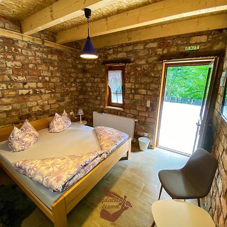 Holiday Park Hajducka Cesma Dubovsko 外观 照片