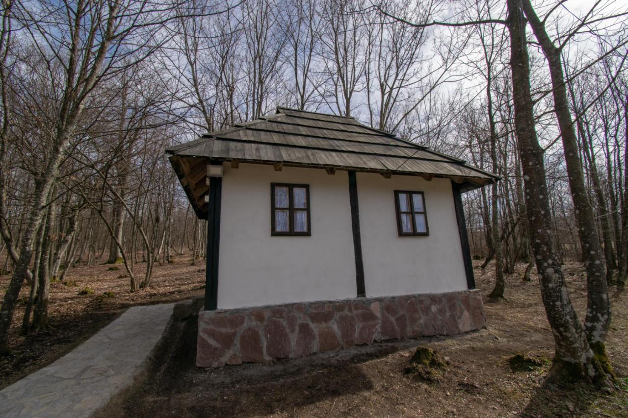 Holiday Park Hajducka Cesma Dubovsko 外观 照片