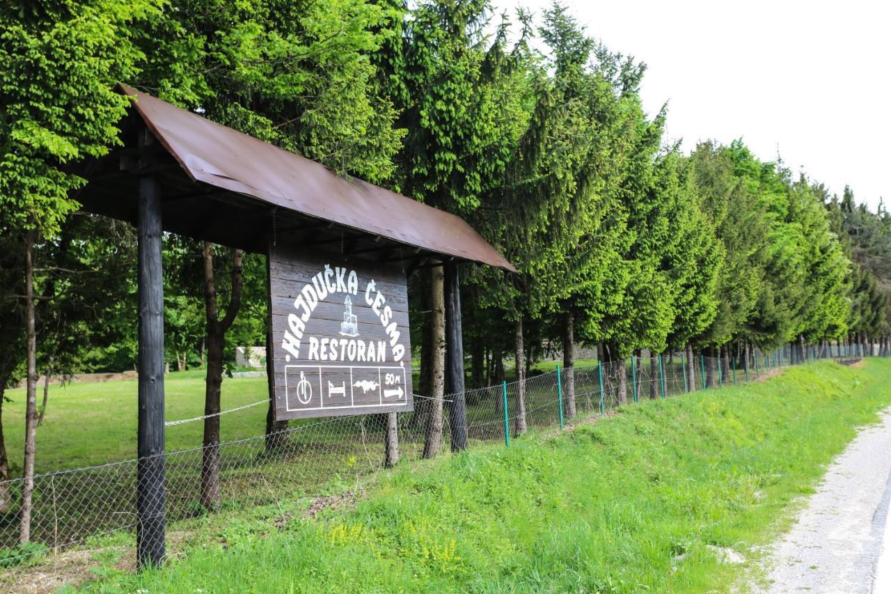 Holiday Park Hajducka Cesma Dubovsko 外观 照片